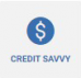 digital banking credit savvy widget
